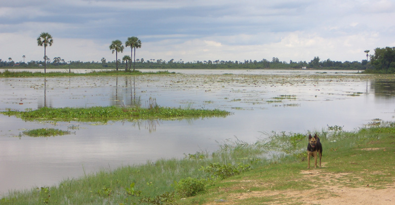 gal/05 - Tonle Bati/RIMG1988.jpg